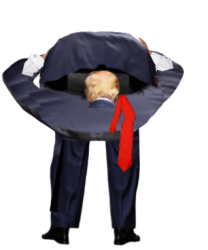 Head up ass (Trump) png transparent Meme Template