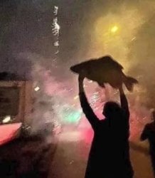 fish found fireworks Meme Template