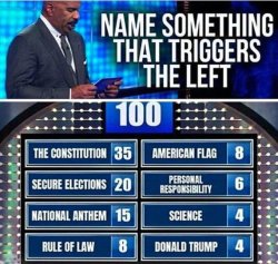 triggering leftists Meme Template
