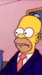 homero sorprendido Meme Template