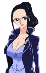 nico robin Meme Template