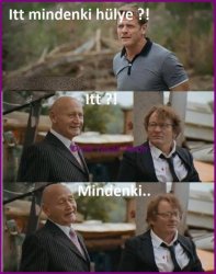 Itt mindenki hülye Meme Template