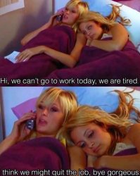 simple life can’t go to work Meme Template