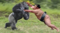 Monkey x man Meme Template