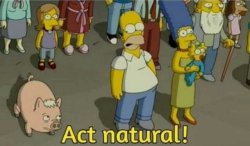 Act natural Meme Template
