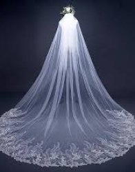 Long veil Meme Template