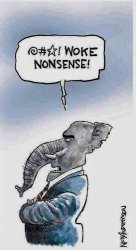 GOP woke nonsense Meme Template