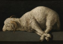 It’s over Meme Template