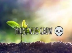 Those who grow Meme Template