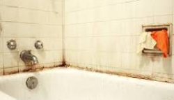 Dirty bathtub Meme Template