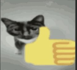 thumb up cat Meme Template