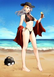 sae beach Meme Template