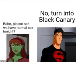 Babe can we have normal sex tonight? Meme Template