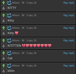 I think Dea likes cats Meme Template