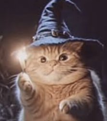 magic cat Meme Template