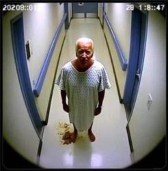 Joe Biden pooping Meme Template