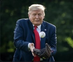 Trump Baseball Meme Template