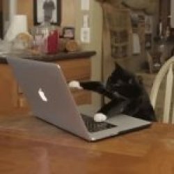 This is a gif Meme Template