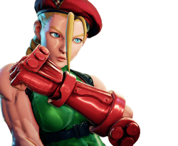 cammy white Meme Template