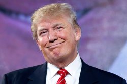 Donal trump Meme Template