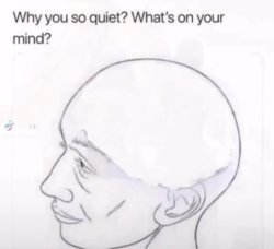 Why Meme Template