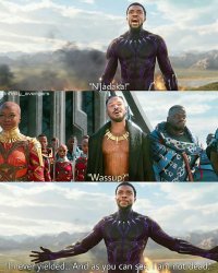 I never yielded Meme Template
