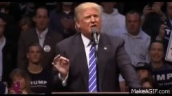 Trump Winning Meme Template
