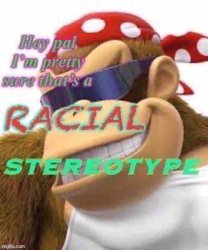 Hey pal I’m pretty sure that’s a racial stereotype Meme Template