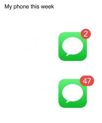 My phone this week Meme Template