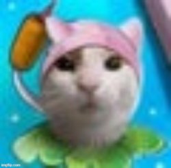 I’m sex toady Meme Template