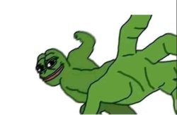 Froggy Meme Template