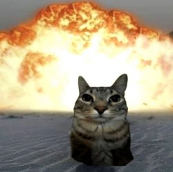 Cat Explosion Meme Template