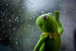 Kermit Rain Meme Template