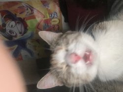 Me when I open my phone at 3AM Meme Template