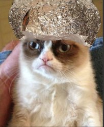 Grumpy cat Meme Template
