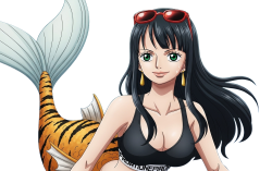 nico tigerfish Meme Template