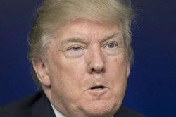 Ugly Trump Meme Template