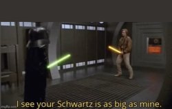 and i see your schwartz is as big as mine Meme Template