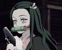 nezuko gun Meme Template