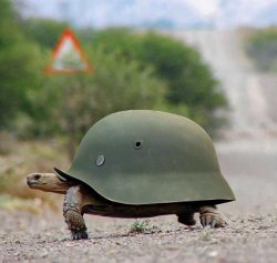Panzer Turtle Meme Template