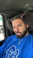 Bipolar Drake Meme Template