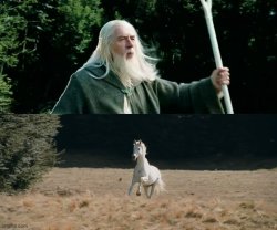 gandalf whistle Meme Template