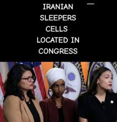 Omar wearing Bidens Depends Meme Template