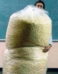 Big Bag of Popcorn Meme Template