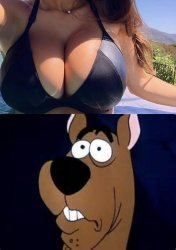 Scooby boobs Meme Template