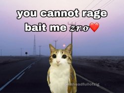 you cant ragebait me Meme Template