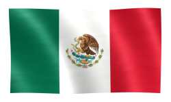 mexican flag Meme Template