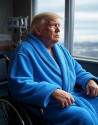 Donald Trump bathrobe wheelchair hospital dementia Meme Template