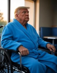 Donald Trump bathrobe wheelchair hospital dementia Meme Template
