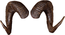 Goat horns Meme Template